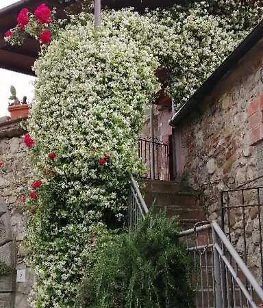 Casa Gelsomino